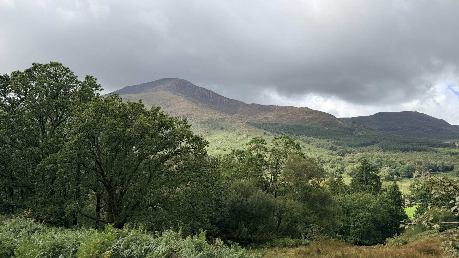 Mountain slopes framed by trees and ferns beneath a cloudy sky